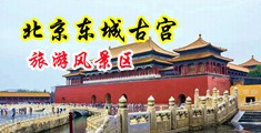 漂亮丰满风骚性感荡妇骚货美女中国北京-东城古宫旅游风景区